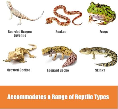 2Pcs 24"x18"Reptile Substrate Mesh, Terrarium Supplies for Reptile Tank, Bioactive Substrate Barrier for Leopard Geckos, Crested Geckos, Ball Pythons, Corn Snakes, Frogs, Skinks