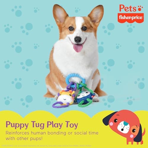 Fisher-Price for Pets 'Tugs With Friends' Interactive Toy for Dogs | Fetch, Tug, Enrichment, and Puppy Teething | Multifunctional
