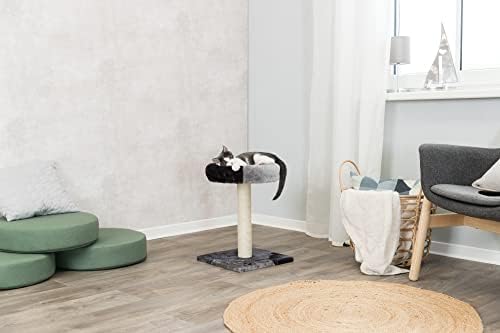 TRIXIE Tarifa 20.5-in Kitten Cat Tree with Sisal Post, Gray/Black