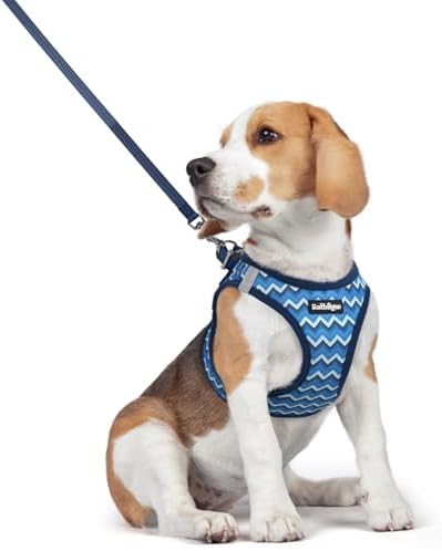 rabbitgoo Dog Harness Medium Sized and Leash Set, Step-in Puppy Pet Vest