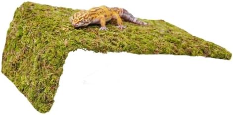 Reptile Moss Climbing Wall for Leopard Gecko, Adjustable Humidity Retaining Terrarium Background, Green Habitat Mat for Shedding Aid & Tank Decoration