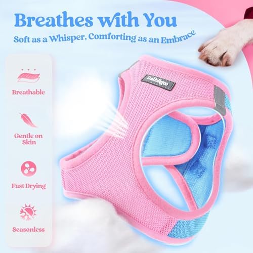 rabbitgoo Dog Harness Medium Sized and Leash Set, Step-in Puppy Pet Vest