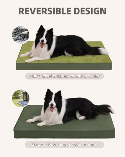 KSIIA Orthopedic Dog Bed for Large Dogs with Waterproof Lining, Green,35x22
