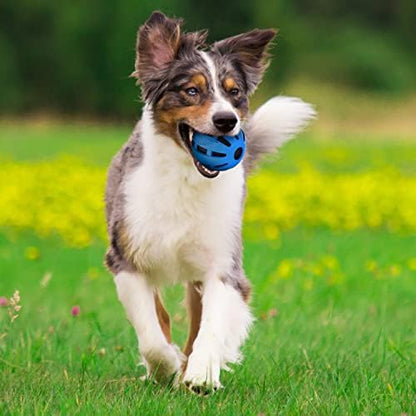 Nerf Dog Crunch and Squeak Rubber Ball Dog Toy, Single, Medium/Large, Blue