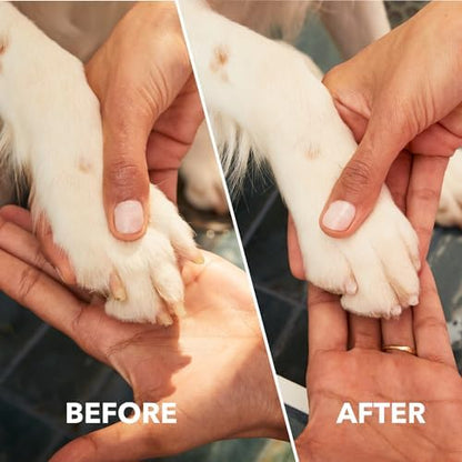 Dremel Pet Grooming Nail Guard Attachment, AT02-PGK