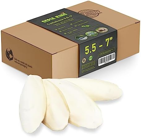 Sepia King - Large - 100% Natural Calcium Supplement - Premium Cuttlebone perfect for Birds, Tortoises, Snails, Reptiles - 5.5 to 7 inch