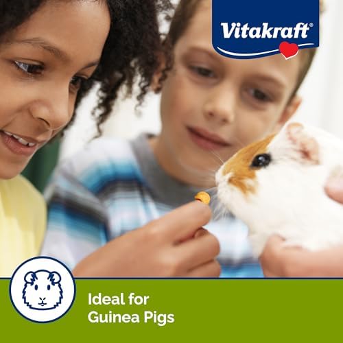 Vitakraft Drops with Orange Flavor Guinea Pig Treats 5.3 oz Bag Delicious Yogurt Enriched Snacks with Vitamin C Essential Nutrients and Wholesome Nourishment for Small Pets,(Pack of 2)