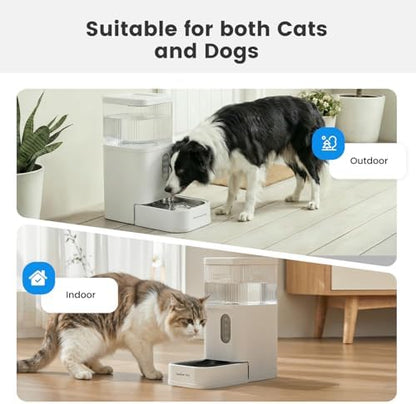 2.9 Gallon Automatic Dog Water Dispenser with Stainless Steel Bowl