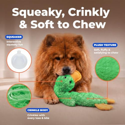 Best Pet Supplies Interactive Squeaky Dog Toy - Crinkle Duck, Green