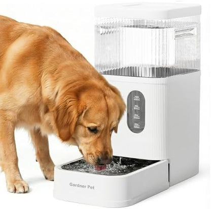 2.9 Gallon Automatic Dog Water Dispenser with Stainless Steel Bowl