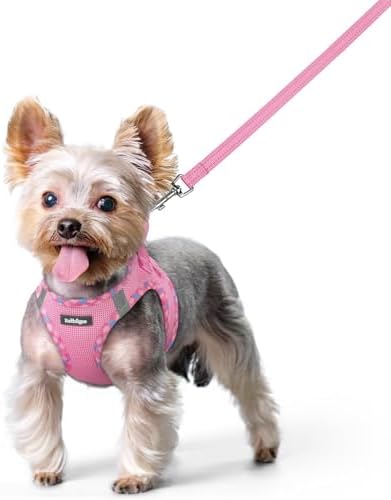 rabbitgoo Dog Harness Small Sized and Leash Set, Step-in Puppy Pet Vest