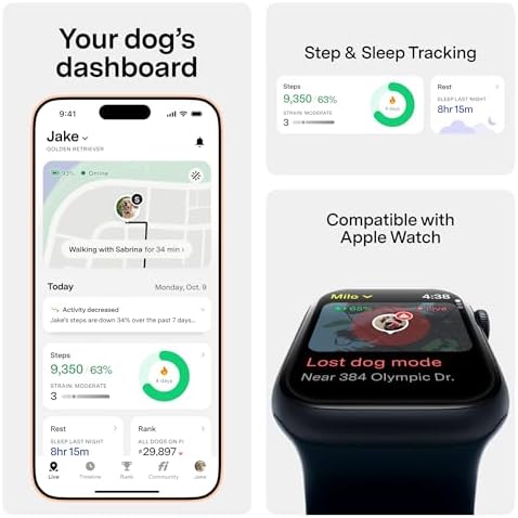 Fi Series 3+ GPS Dog Collar & Tracker, 12-Mo Membership Included, Gray S
