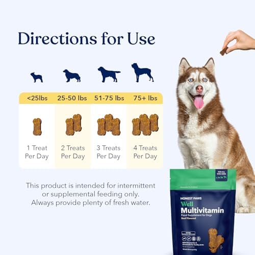 Honest Paws (90 Count) Dog Multivitamin Soft Chews with 10 Essential Vitamins - Joint, Coat, Immune, Eye & Heart Support - with Glucosamine, Chondroitin & Omega-3 - Beef Flavor (Pack of 2)