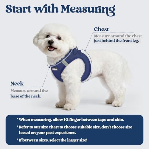 rabbitgoo Dog Harness Medium Sized and Leash Set, Step-in Puppy Pet Vest