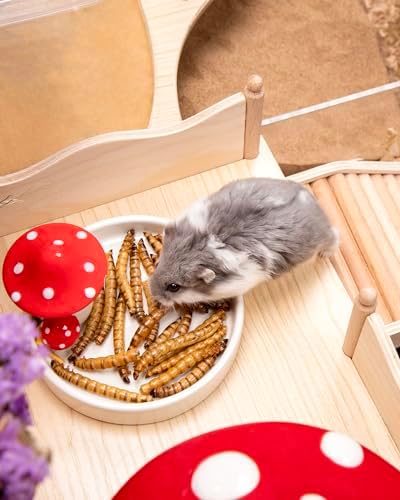 Niteangel Small Animal Snack & Treats - Dried Worms & No Additive