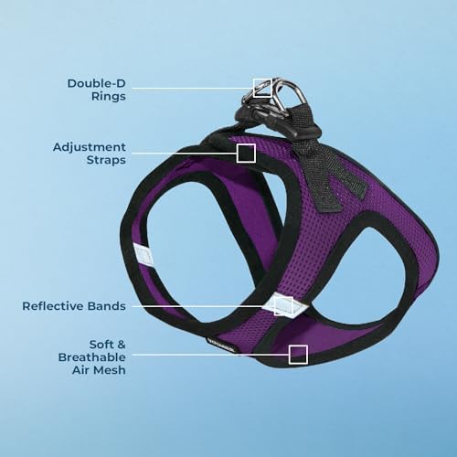 Voyager Step-in Air Dog Vest Harness - Purple/Black Trim, X-Large