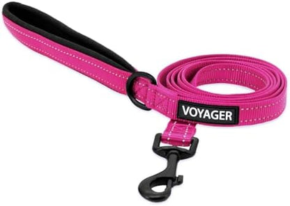 Best Pet Supplies Voyager Nylon Dog Leash - 6ft Fuchsia, Large