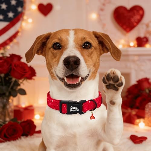 Valentine's Lovely Red Heart Print Dog Collar for X-Small Dogs