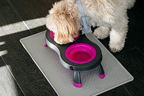 Dexas Pets Double Elevated Pet Feeder, Fuchsia, Small/1 Cup Capacity Bowls (PW1004322405) (Pack of 2)
