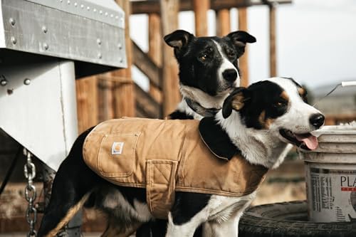 Carhartt Firm Duck Insulated Dog Chore Coat, Durable Weather Resistant Coat for Cold and Windy Conditions, Contains PFAS (Carhartt Brown), Medium