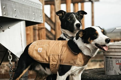 Carhartt Firm Duck Insulated Dog Chore Coat, Durable Weather Resistant Coat for Cold and Windy Conditions, Contains PFAS (Carhartt Brown), Medium