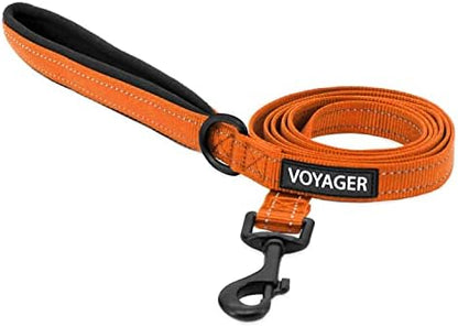 Best Pet Supplies Voyager Nylon Dog Leash - Orange, Medium