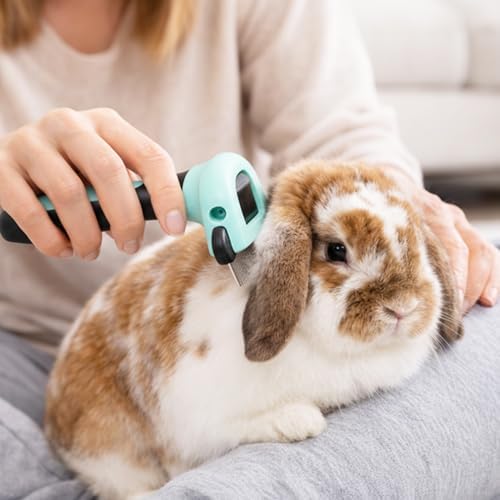 SunGrow Dog & Cat Deshedding Brush, Minimizes Shedding, Enhances Coat Health, Gentle on Skin, Suitable for Rabbits & Ferrets
