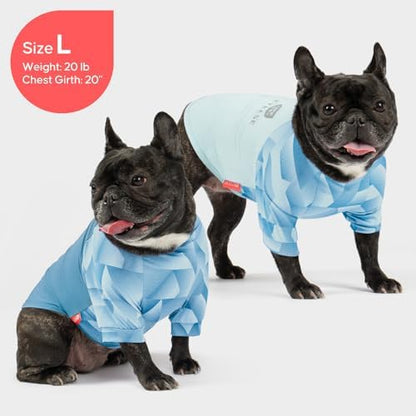 KYEESE 2Pack UPF50+ Dog Shirt for Small Dogs Cooling UV Protection Tank Top