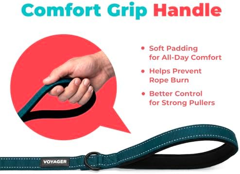Best Pet Supplies Voyager Nylon Dog Leash - Blue, Medium