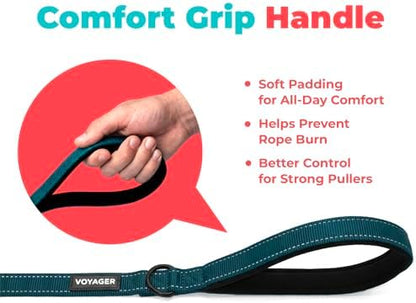 Best Pet Supplies Voyager Nylon Dog Leash - Blue, Small