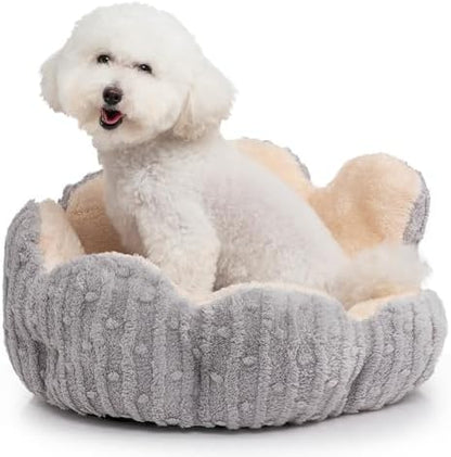 Hollypet Cozy Cat Beds for Indoor Cats - Cute Cactus Pet Bed, Fluffy Puppy Bed, Non-Slip Extra Small Dog Bed, Gray