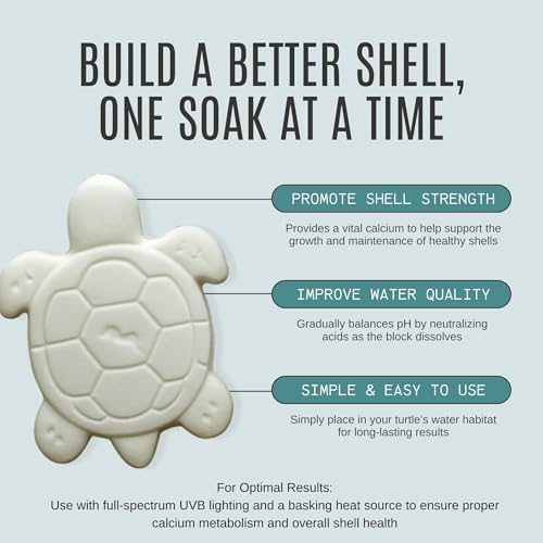 Shellstrong Premium Calcium Block for Aquatic Turtle - Slow Release Water Tank Conditioner - Cuttlebone for Aquarium - Turtle Tank Accessories - 20 Gallon Aquatic Treatment (5 Calcium Blocks)
