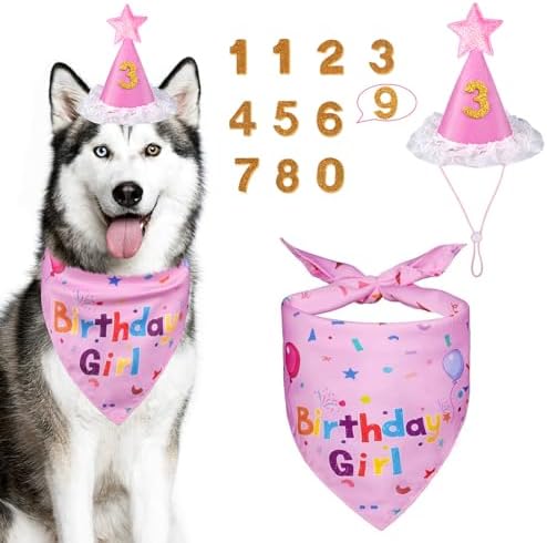 Dog Girl Birthday Party Hat, Dog Birthday Party Supplies