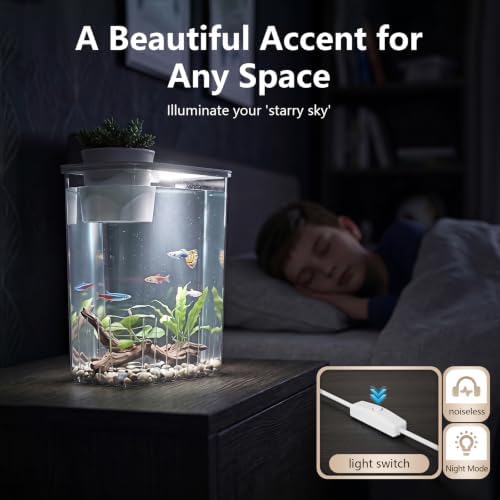 1 Gallon Betta Fish Tank Aquarium Starter Kit with Light and Lid(White)