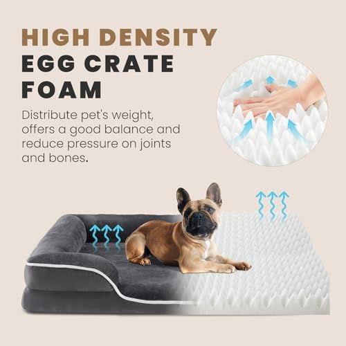 NEWBULIG 42x32 Inch Orthopedic Dog Bed for Indoor Use, Soft Surface