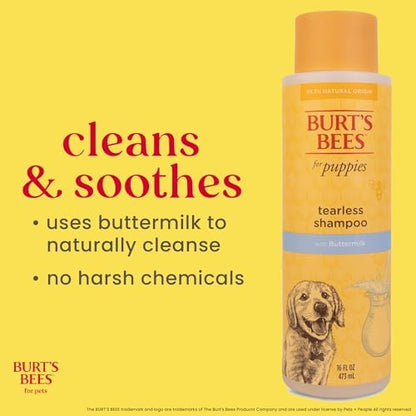 Burt's Bees for Pets Tearless Puppy Shampoo, with Buttermilk, 16 Oz, 6-Pk