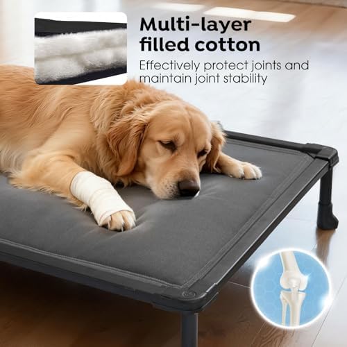Veehoo Chew Proof Elevated Dog Bed, Padded Indestructible Raised Dog Cot