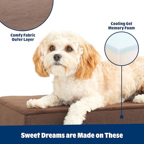 BarkBox Orthopedic Dog Bed - Medium