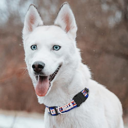 Pets First NFL Buffalo Bills Licensed PET COLLAR, Extra Large - Heavy-Duty, Strong, and Durable Dog Collar. Available in 31 Football Teams and 4 Sizes