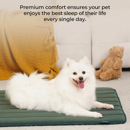 BALANCE Dog Crate Pad, Dog Foam Crate Mat Kennel Pad, Washable Water-Resistant Pet Bed Flat Dogs Cage Mat for X-Large Dogs