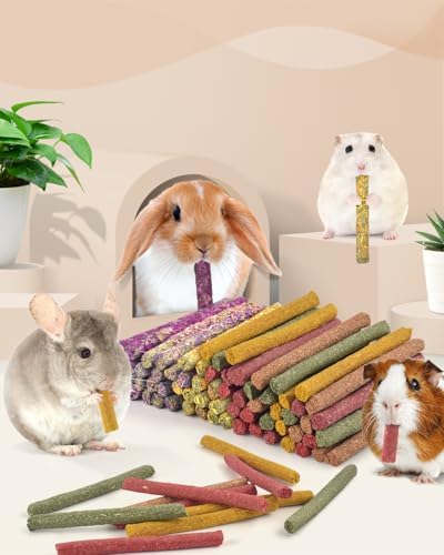 Bissap 72 PCS Rabbit Chew Sticks, Natural Timothy Hay Pumpkin Sugar Beet Carrot Strawberry Rose Dahlberg Daisy Forget-me-not Flower Treat for Bunny Chinchilla Guinea Pig Hamster Small Pet Molar Snack