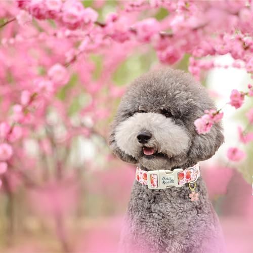 Dog Collar-Cute Pink Peach Print Adjustable Pet Collars Spring Comfortable Cotton Puppy Collar Gift for X-Small Dogs