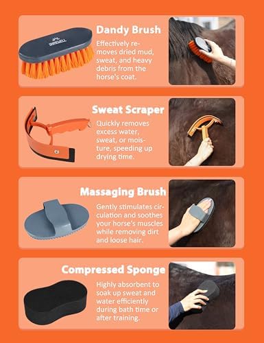 Shinewell Horse Grooming Kit, Complete Horse Brush Set, Equine Grooming Tools for Shedding & Daily Care Orange