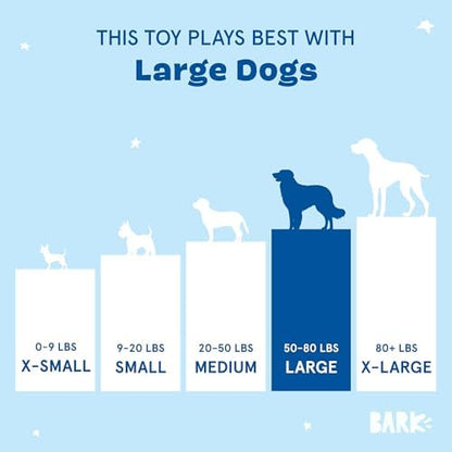 BarkBox Marley & Gnarley's Chain Dog Toy - Toy for Medium to Large Dogs