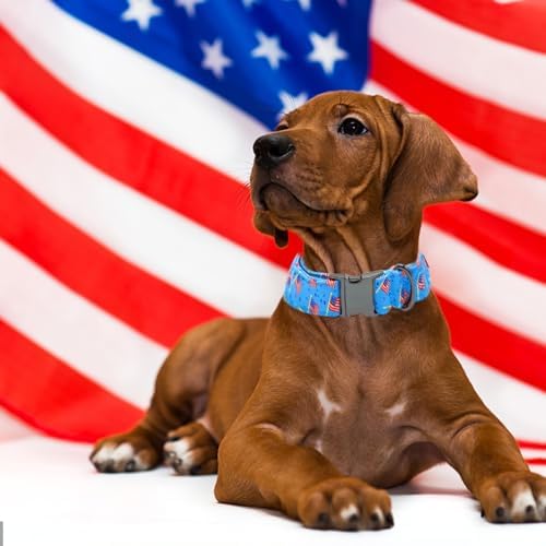 Independence Day Dog Collar, Summer Blue Flag Durable Metal Boy Dog Collars Adjustable Pet Collar for Small Medium Large Dogs