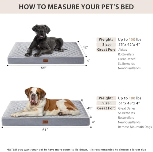 WNPETHOME Orthopedic Giant Human Dog Beds for Adult & Dog Cozy Sleep