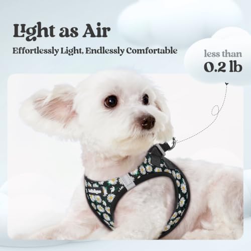 rabbitgoo Dog Harness Small Sized and Leash Set, Step-in Puppy Pet Vest