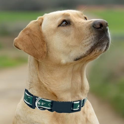 Pets First NFL New York Jets Licensed PET Collar, Extra Large - Heavy-Duty, Strong, and Durable Dog Collar. Available in 31 Football Teams and 4 Sizes
