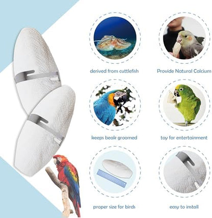 Bird Cuttlebone for Parakeets, Cuddle Bone, Birds Calcium, 5"-5.5", 6 Pcs