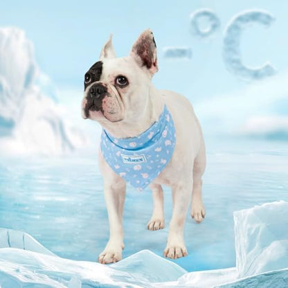KYEESE 2Pack Dog Cooling Bandana Dog Scarf for Small Medium Large Dogs